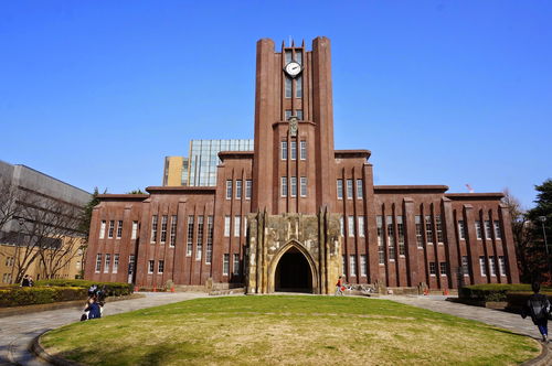 日本大学(日本大学排名)