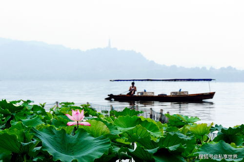 杭州西湖周边景点(杭州西湖周边景点游玩最佳路线)