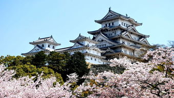 日本旅游景点有哪些(日本旅游景点有哪些地方免费)