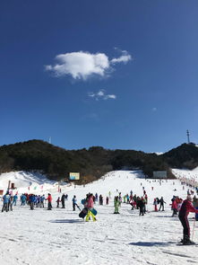 云佛山滑雪场门票(云佛山滑雪场开放时间)