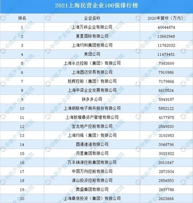 上海旅游公司排行榜(上海大型旅游公司有哪些)