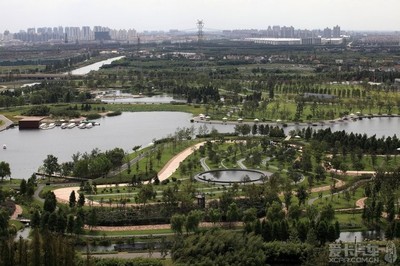 上海植物园和辰山植物园哪个好玩(上海辰山植物园多大)