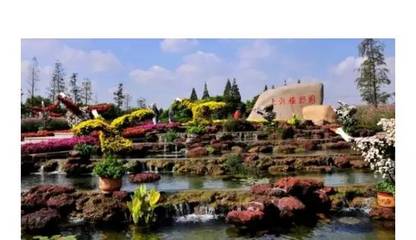 上海植物园要门票吗(上海植物园收费吗?)