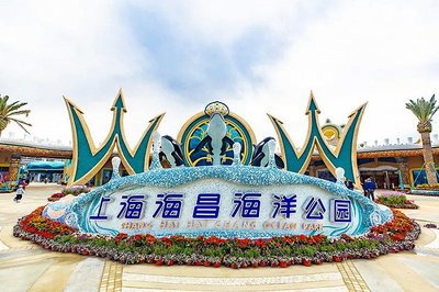 上海海洋馆官网(上海海洋馆门票预约官网)