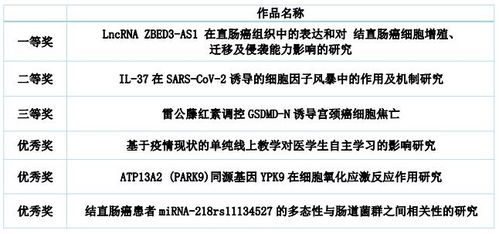 科研申报设计方案[科研立项项目申报书]