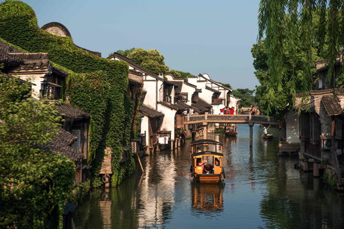 乌镇景区(乌镇景区70岁以上免票吗)