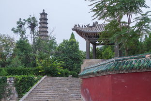 登封少林寺门票价格(登封少林寺景区门票多少钱)