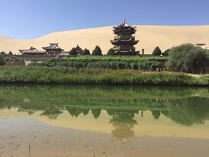 酒泉旅游(酒泉旅游网站建设)