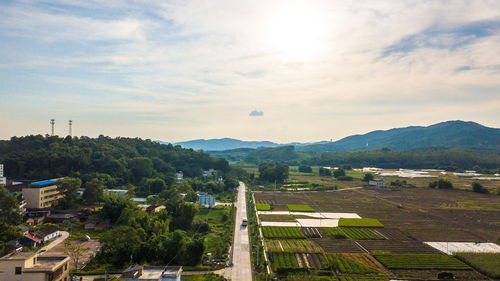 广东顺德旅游攻略(顺德旅游必去十大景点)