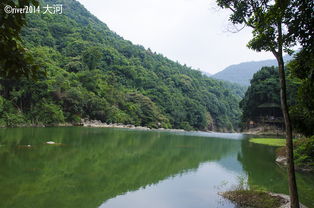 莆田九龙谷门票(莆田九龙谷门票多少)