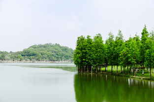 东莞松山湖公园景点(东莞松山湖公园景点分布图)