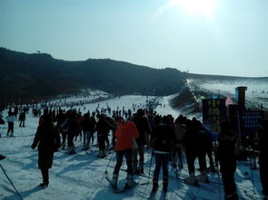 蓟县滑雪场(蓟县滑雪场门票)