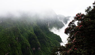 四川峨眉山风景区(四川峨眉山风景区入口处天气预报)