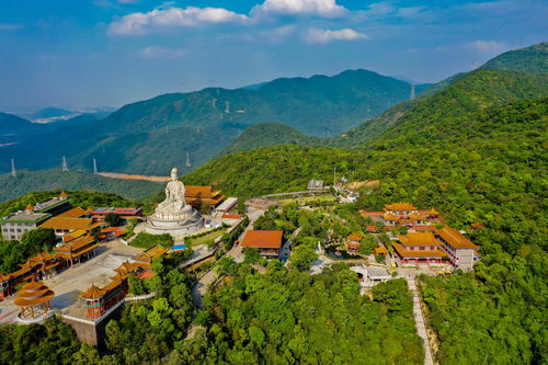 东莞樟木头观音山门票(东莞樟木头观音山门票多少钱一张)