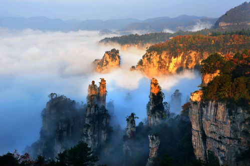 张家界武陵源景区(张家界武陵源景区门票价格)