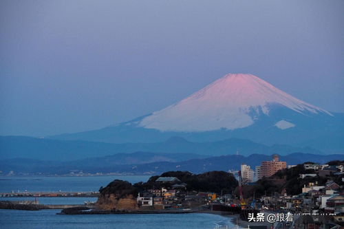 日本为什么不怕富士山喷发(为什么日本人喜欢富士山)