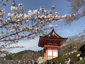 日本景点(日本景点八海)