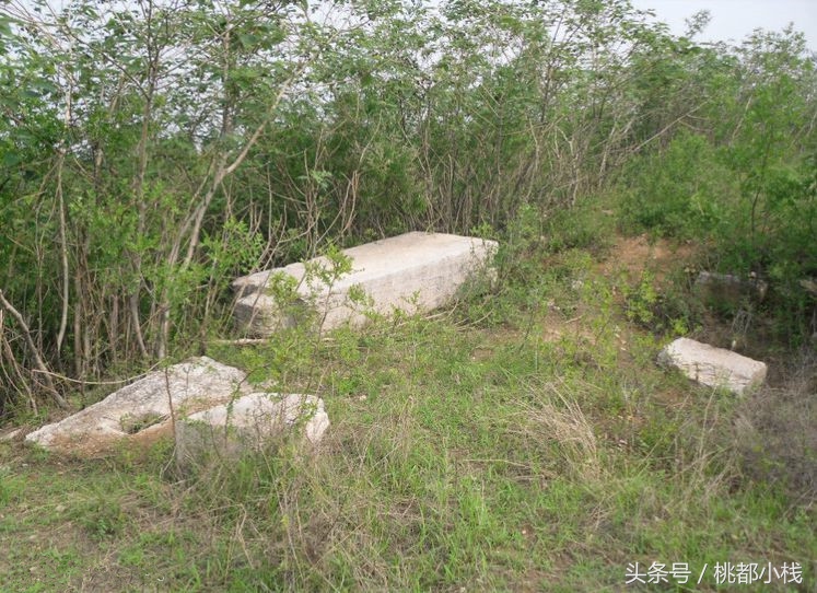 平阴县属于哪个市(平阴县属于哪个市区号)