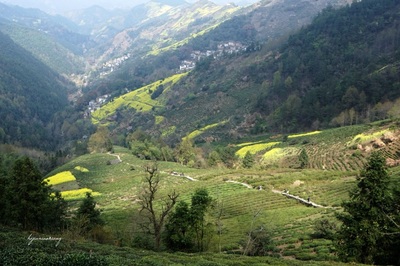 歙县旅游攻略(歙县旅游攻略景点必去宏村)