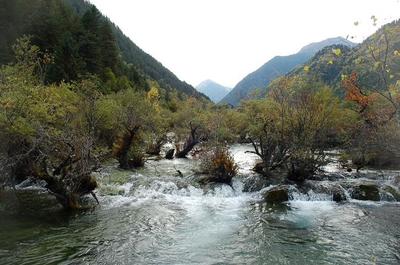 四川九寨沟离成都有多远(四川九寨沟离成都有多远路程)