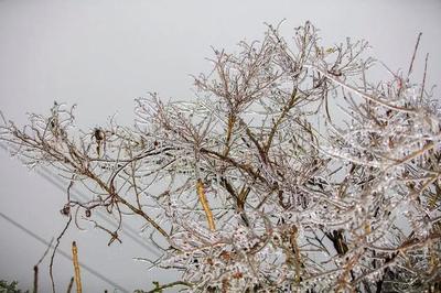 石首天气(石首天气预报30天 未来)