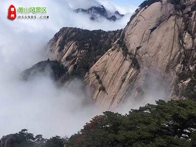 旅游团黄山三日游多少钱(旅游团黄山三日游多少钱啊)