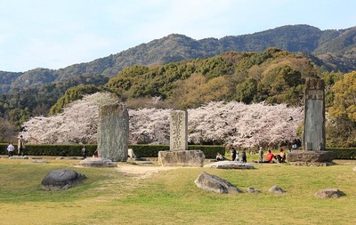 想去日本旅游需要什么(想去日本旅游需要什么签证)