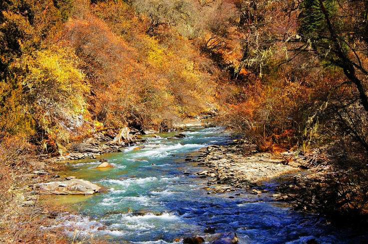 成都到四姑娘山旅游攻略(成都到四姑娘山旅游攻略自驾路线)