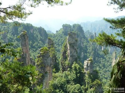 张家界必去景点攻略(张家界旅游必去景点推荐)