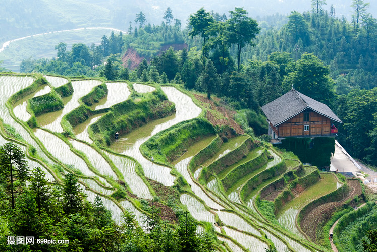 紫鹊界梯田(紫鹊界梯田图片)