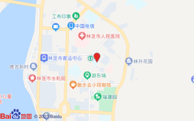 林芝地区旅游景点地图(林芝地区旅游景点图片)